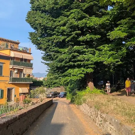 Viale